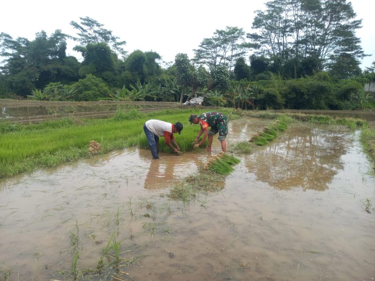 Photo Babinsa Kaweron Koramil 0808/16 Talun Serda Edi Prasetiyo, 19/10/2025 (Ist)