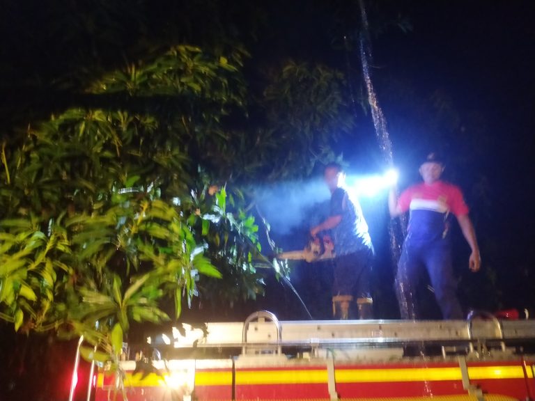 Potret Tim Damkar Indramayu saat proses evakuasi pohon tumbang timpa kabel listrik, 26/10/2025 (Ist).